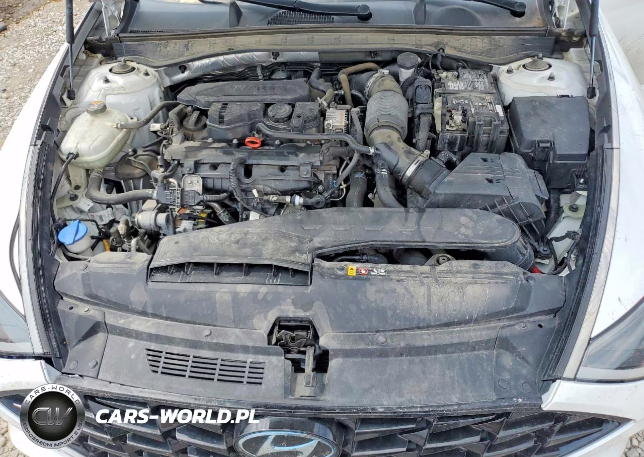 2020 Hyundai Sonata Limited VIN:5NPEH4J28LH061190 - 11