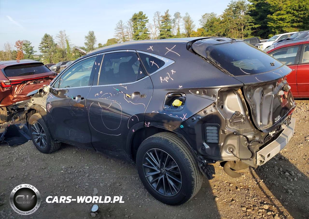 2024 Lexus Nx 350 Premium VIN:2T2GGCEZ5RC045453 - 2