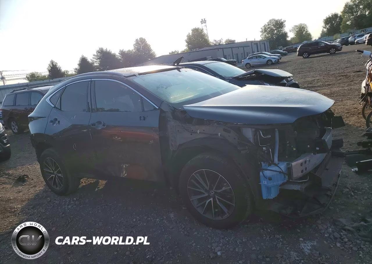 2024 Lexus Nx 350 Premium VIN:2T2GGCEZ5RC045453 - 4