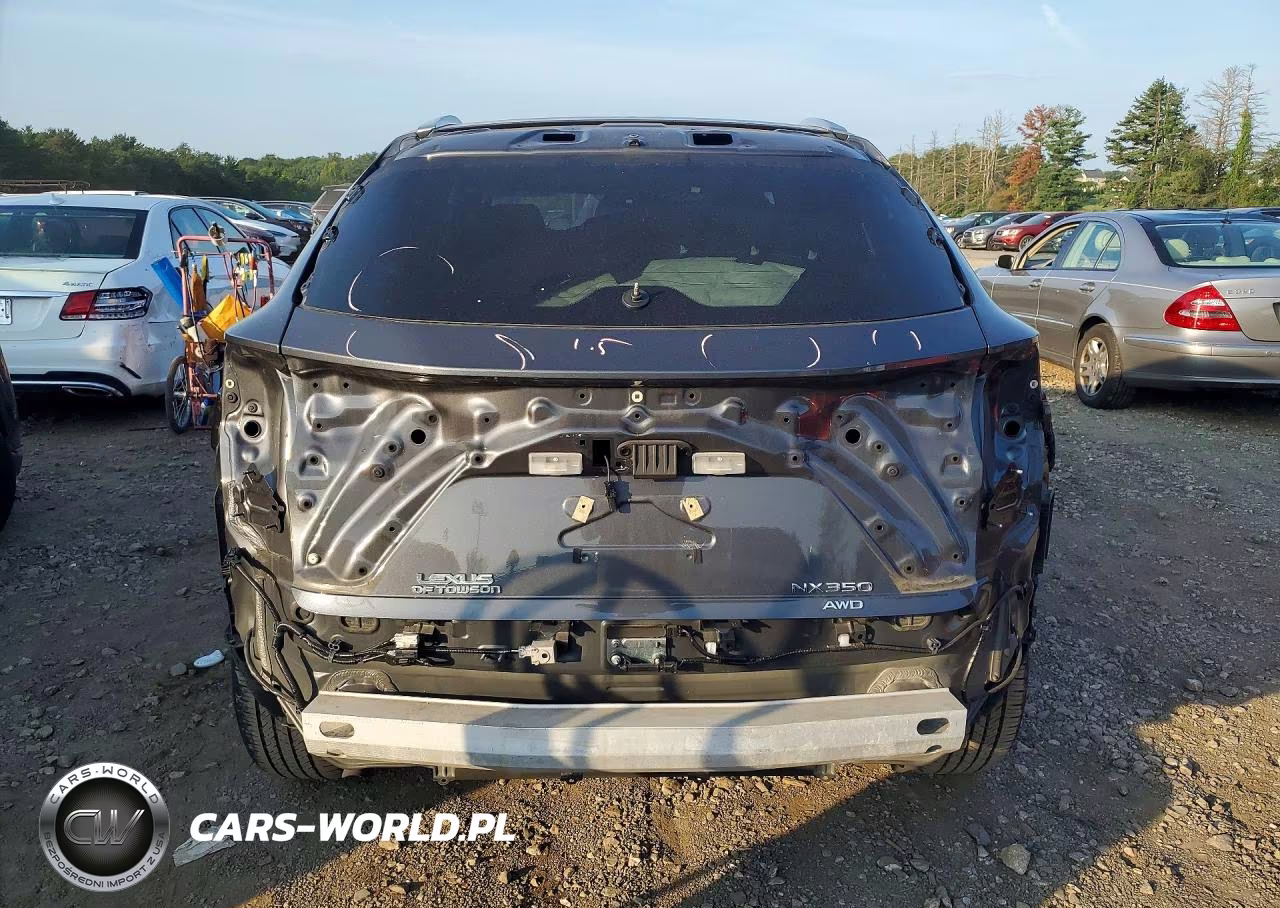 2024 Lexus Nx 350 Premium VIN:2T2GGCEZ5RC045453 - 6