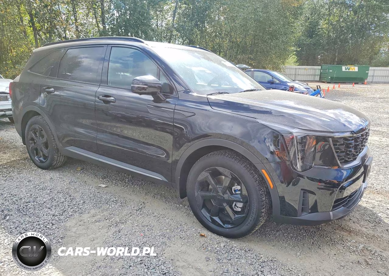 2026 Kia Sorento Sxp VIN:KNDRKDJG6T5439389 - 4