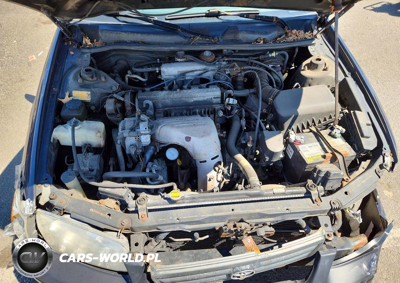 2000 Toyota Camry Le VIN:JT2BG22K9Y0445419 - 11