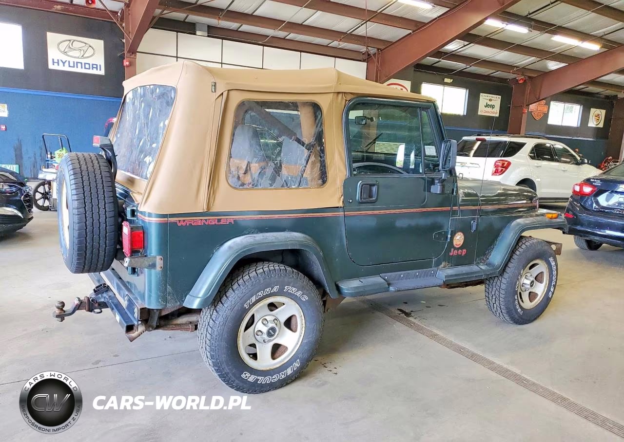 1994 Jeep Wrangler - Yj Sahara VIN:1J4FY49S8RP424247 - 3