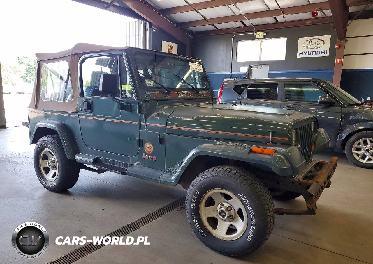 1994 Jeep Wrangler - Yj Sahara VIN:1J4FY49S8RP424247 - 4