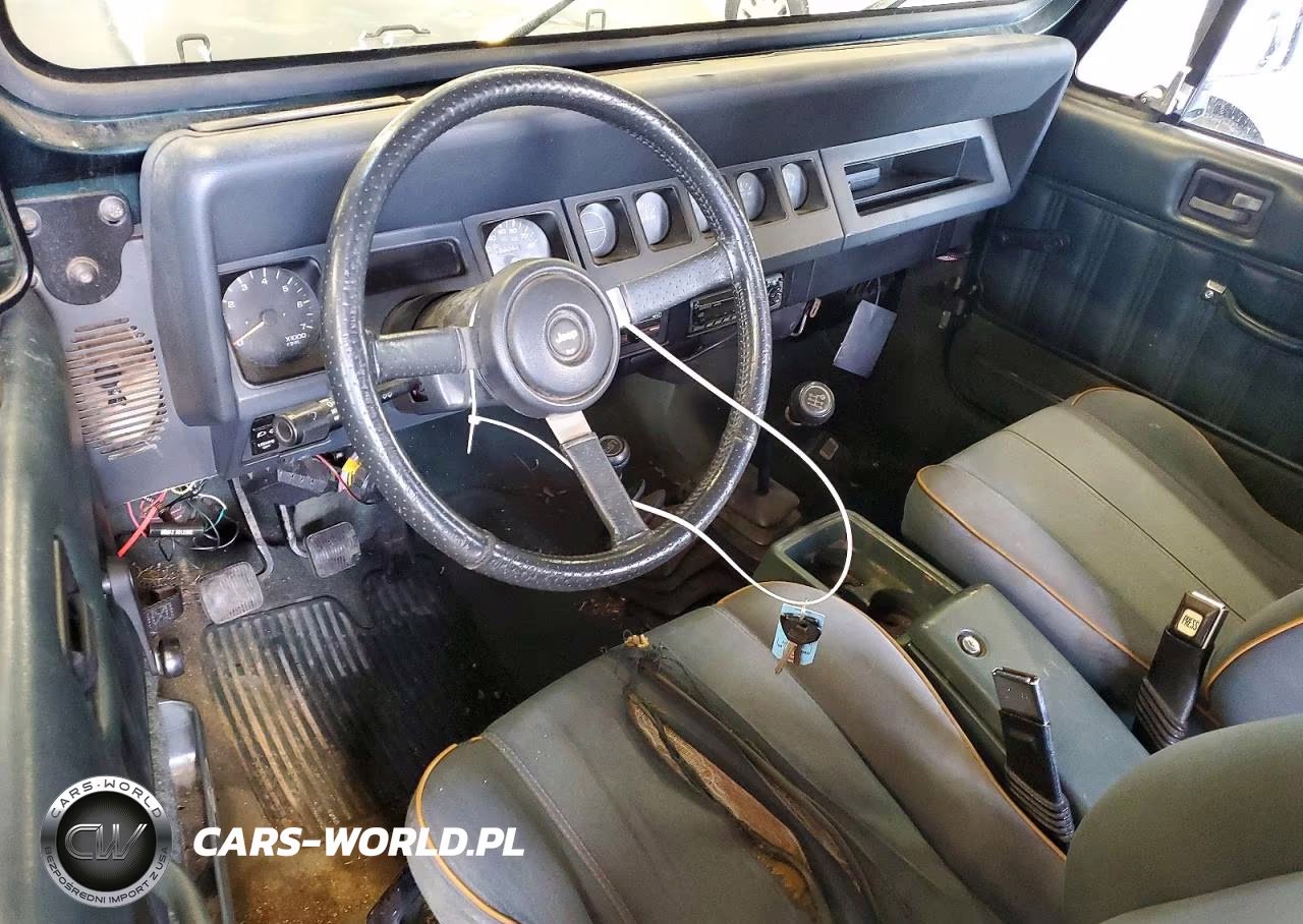 1994 Jeep Wrangler - Yj Sahara VIN:1J4FY49S8RP424247 - 8