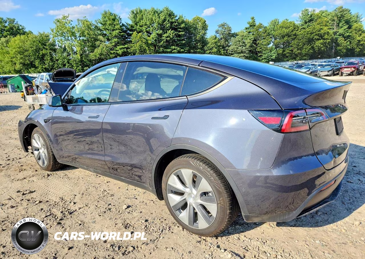 2022 Tesla Model Y VIN:7SAYGDEE0NF391706 - 2
