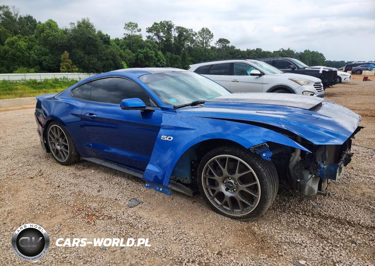 2017 Ford Mustang Gt VIN:1FA6P8CFXH5271740 - 4