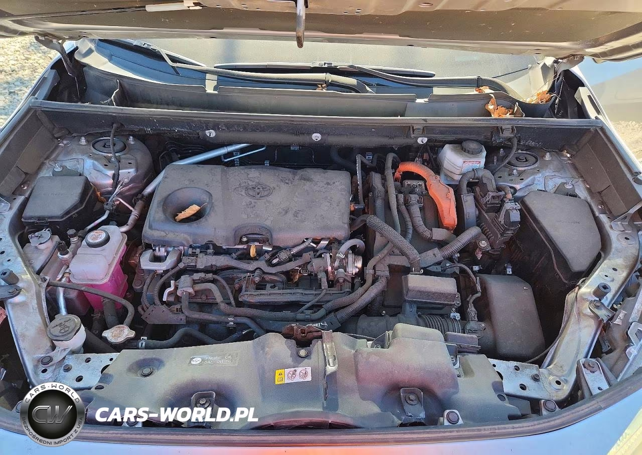 2022 Toyota Rav4 Se VIN:4T3T6RFV6NU101243 - 12