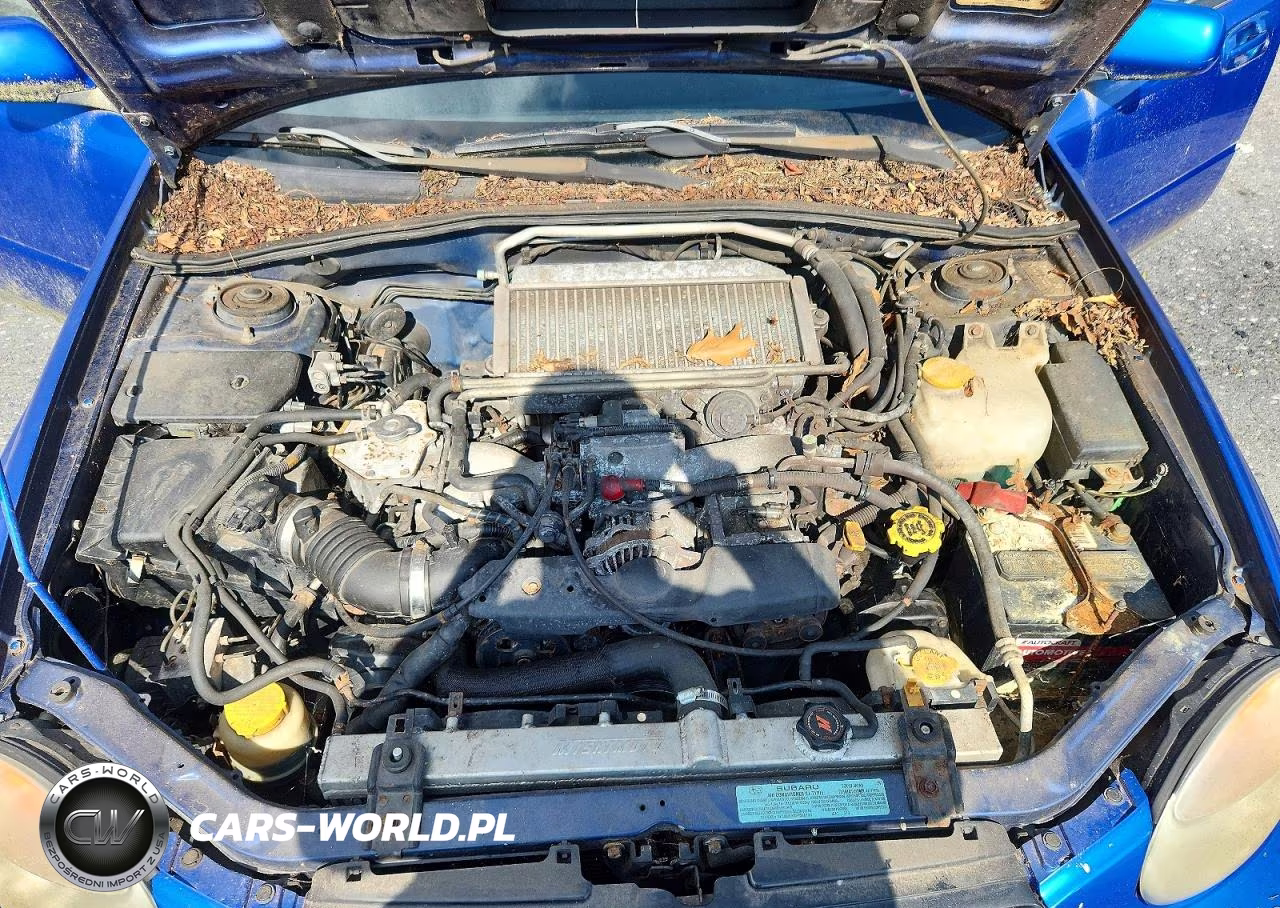 2003 Subaru Impreza Wrx VIN:JF1GD29623G510387 - 11