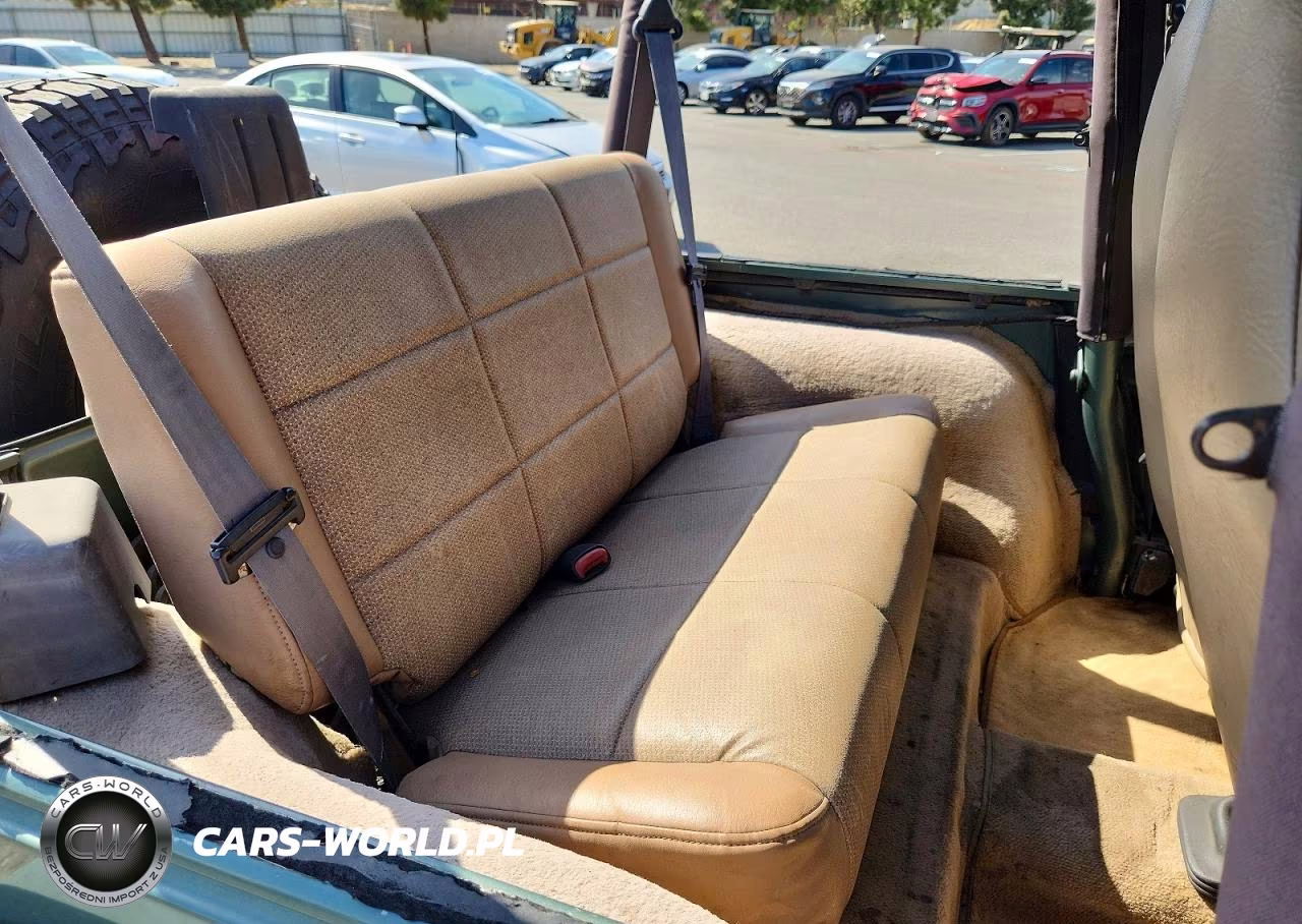 1999 Jeep Wrangler - Tj Se VIN:1J4FY29P9XP431284 - 10