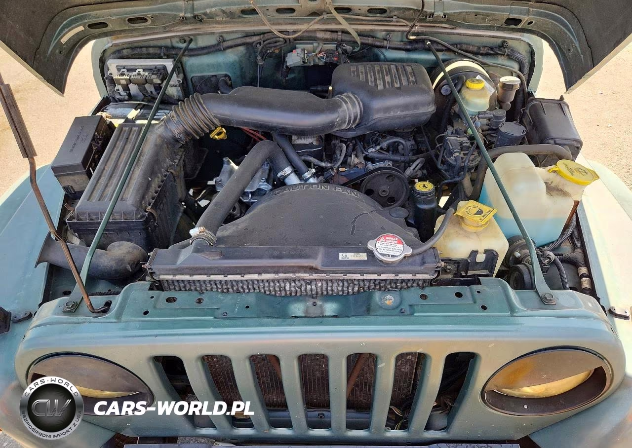 1999 Jeep Wrangler - Tj Se VIN:1J4FY29P9XP431284 - 11