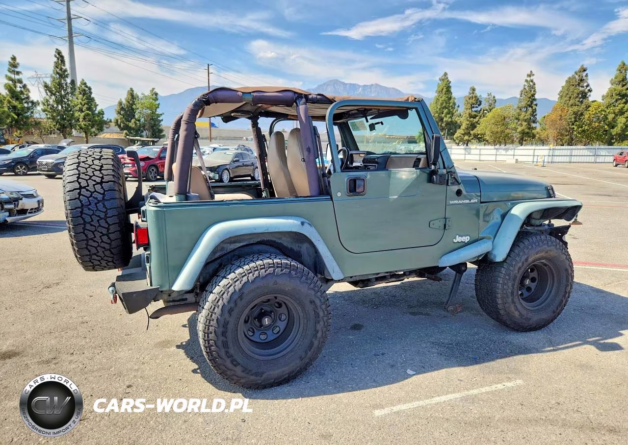 1999 Jeep Wrangler - Tj Se VIN:1J4FY29P9XP431284 - 3