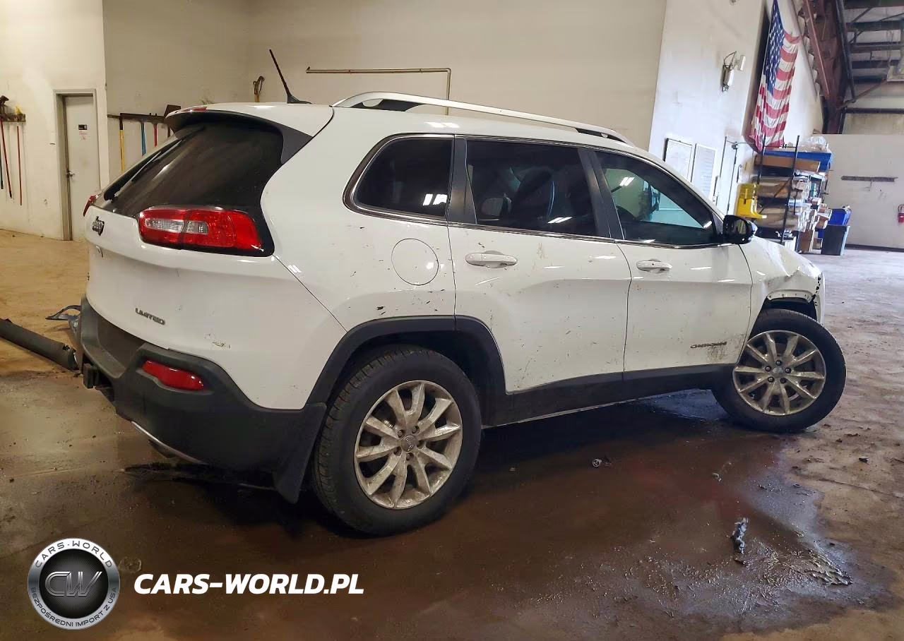2014 Jeep Cherokee Limited VIN:1C4PJMDS6EW278288 - 3