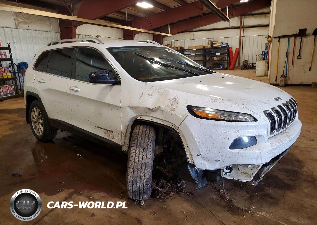 2014 Jeep Cherokee Limited VIN:1C4PJMDS6EW278288 - 4