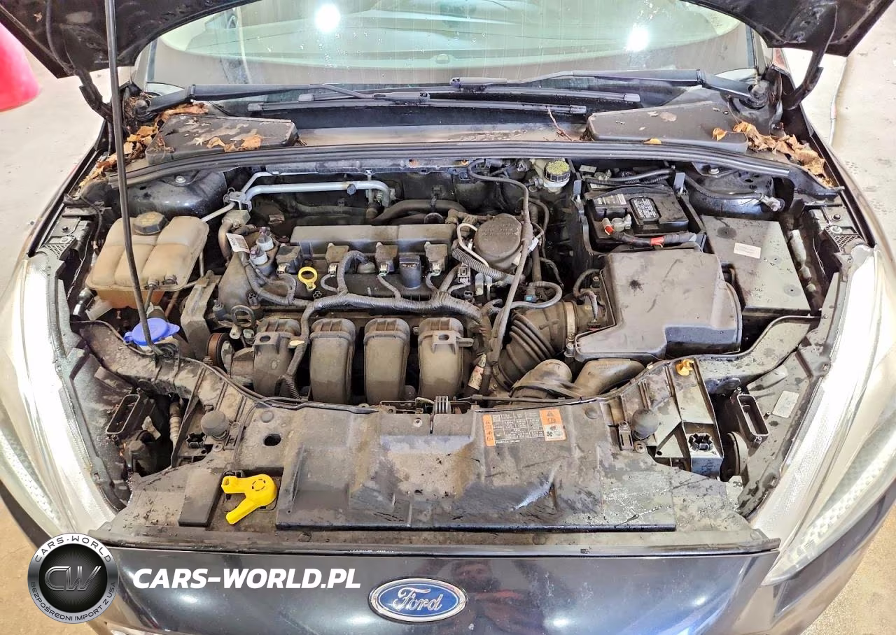 2015 Ford Focus Se VIN:1FADP3F29FL217566 - 11