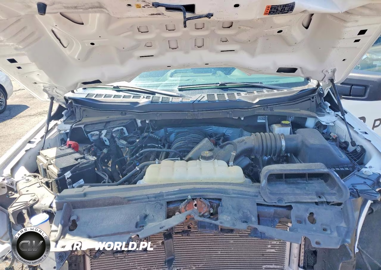 2024 Ford F150 Stx VIN:1FTFW2L50RKF59450 - 11