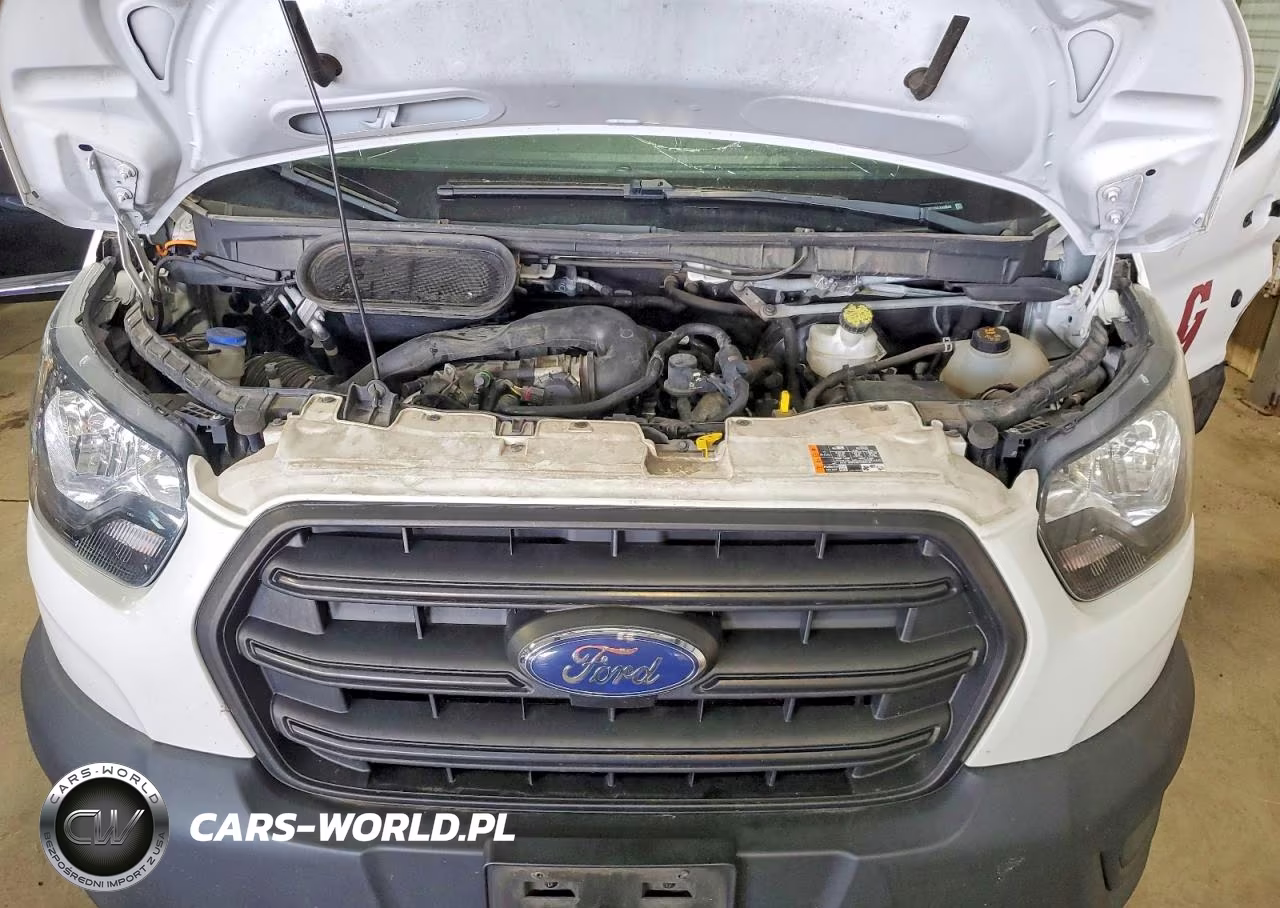 2020 Ford Transit T-250 Delivery Van VIN:1FTBR1C84LKA30648 - 11