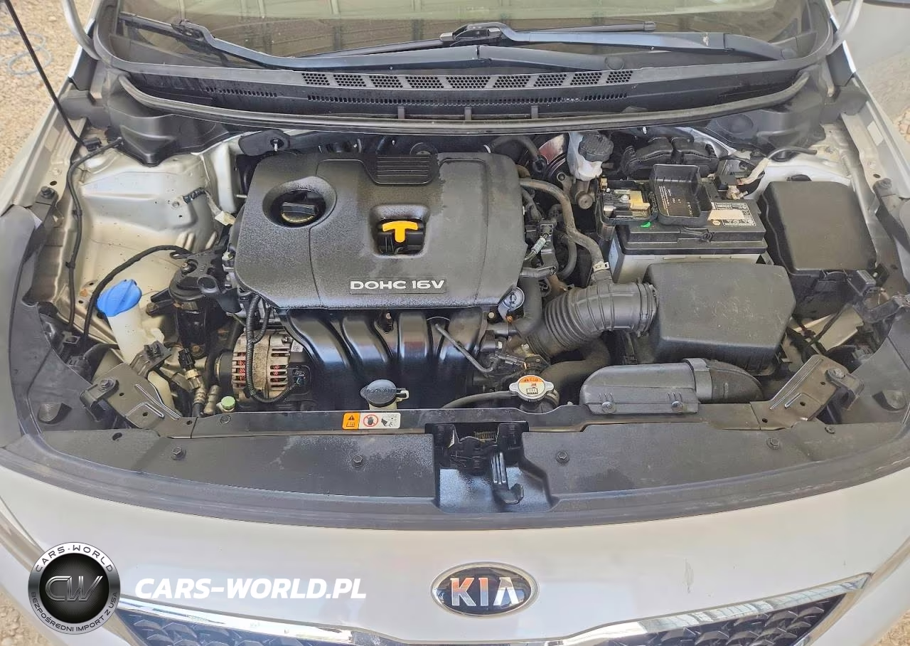 2018 Kia Forte Lx VIN:3KPFK4A7XJE234372 - 11