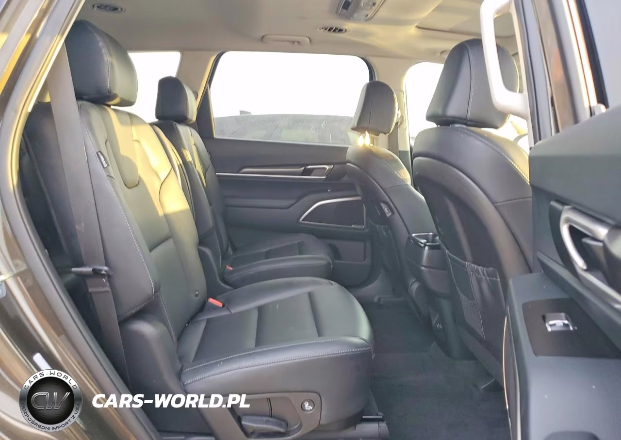2025 Kia Telluride S VIN:5XYP6DGC0SG693931 - 11