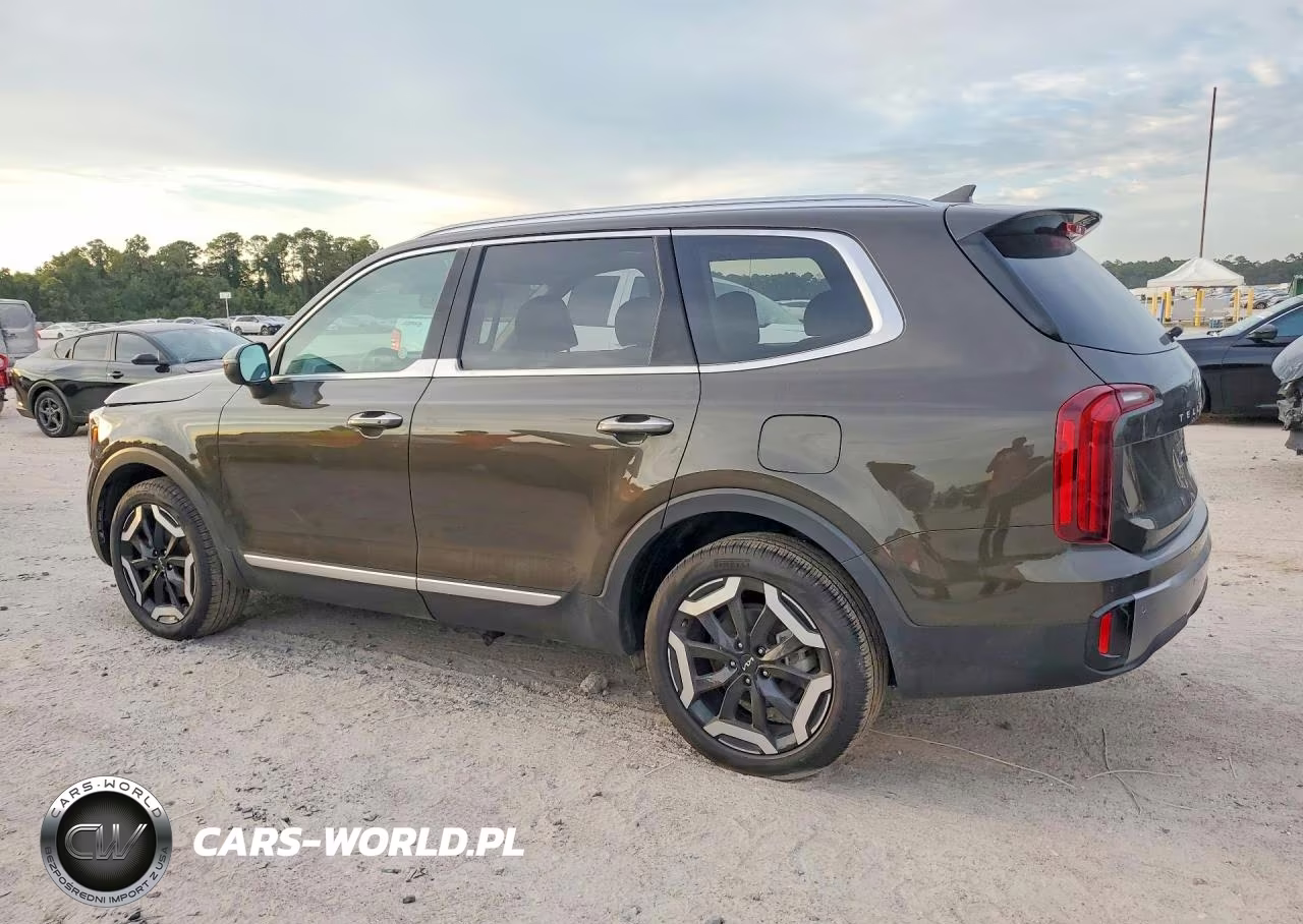 2025 Kia Telluride S VIN:5XYP6DGC0SG693931 - 2