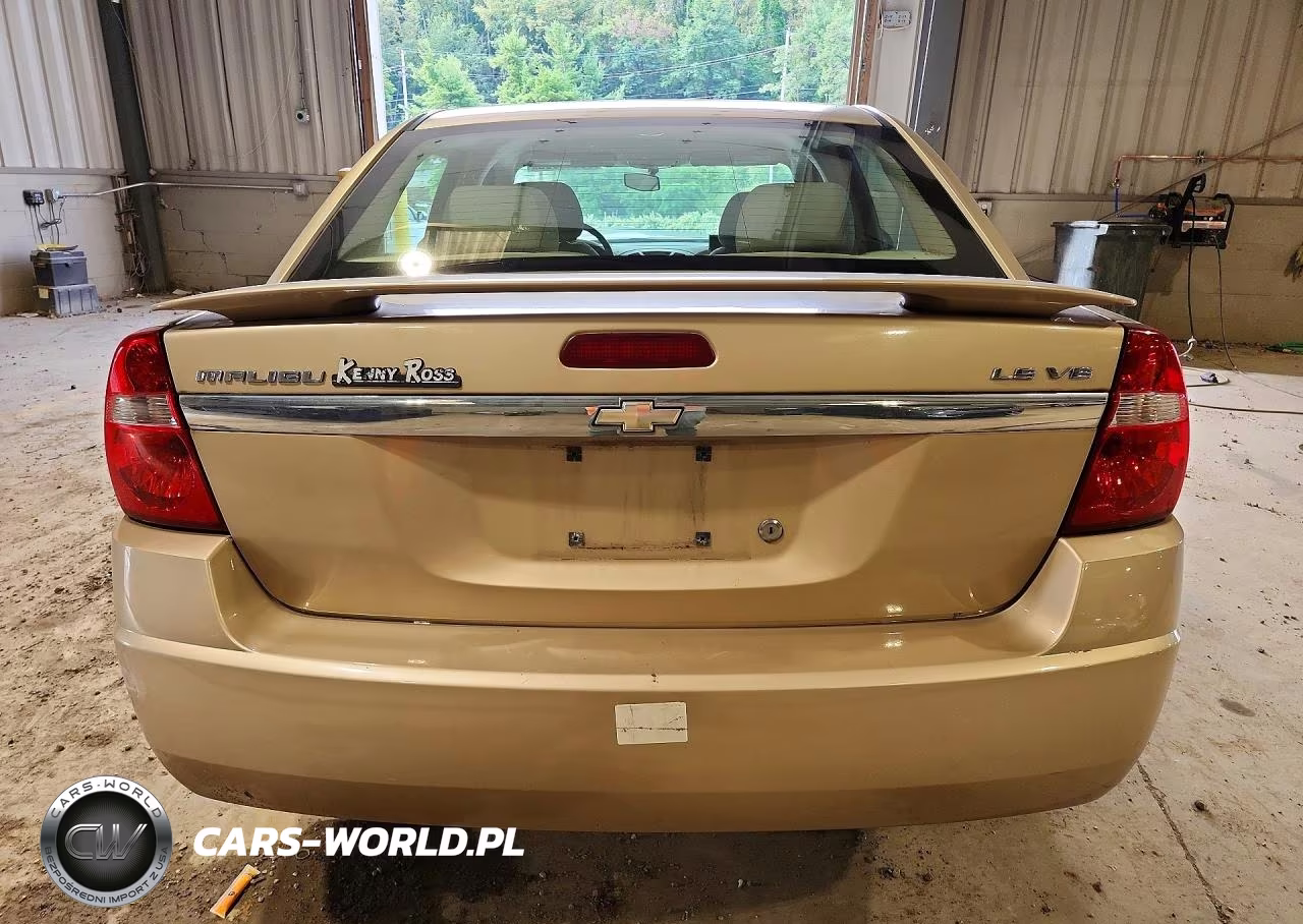 2005 Chevrolet Malibu Ls VIN:1G1ZT54815F221499 - 6