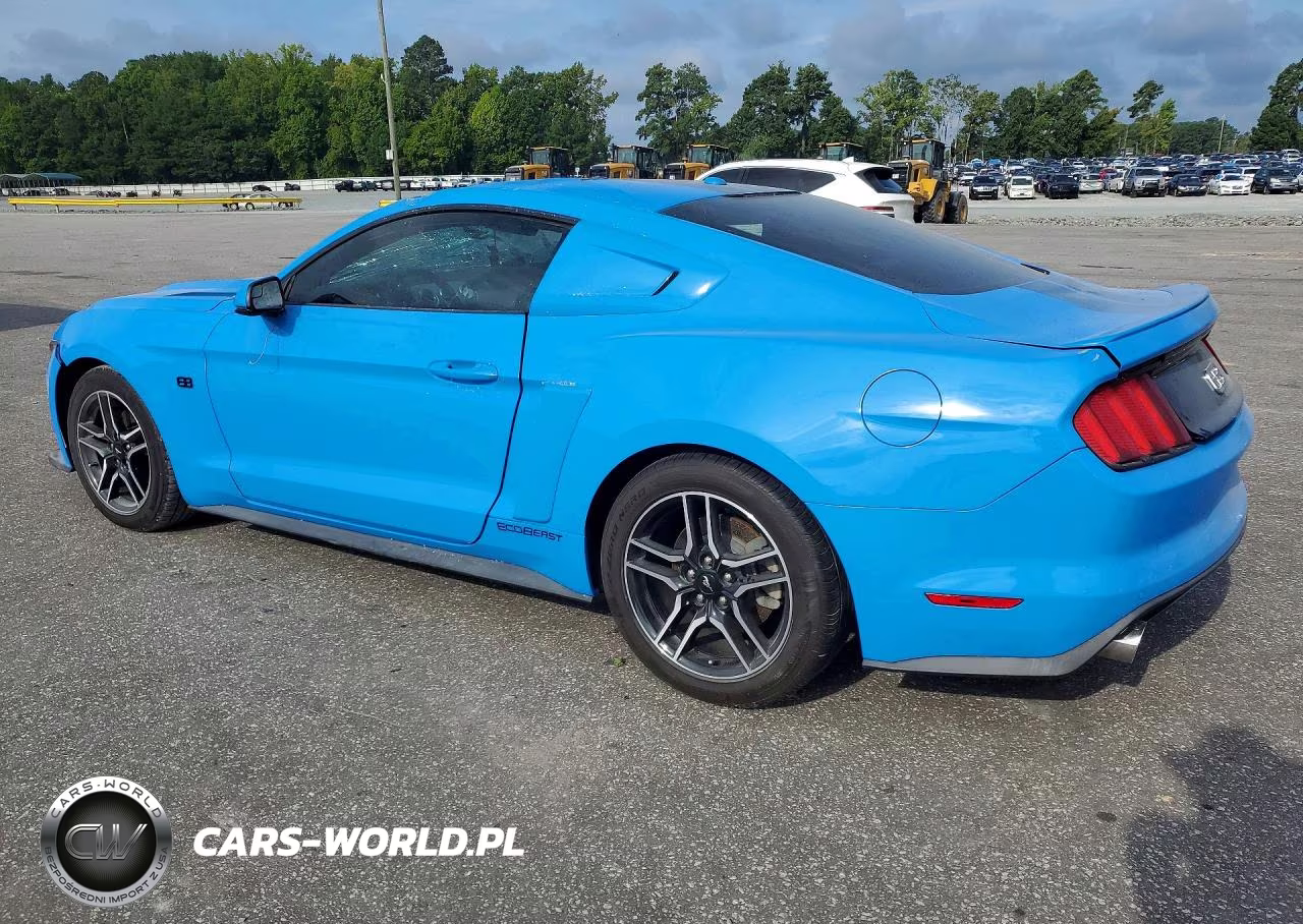2017 Ford Mustang VIN:1FA6P8TH2H5296326 - 2