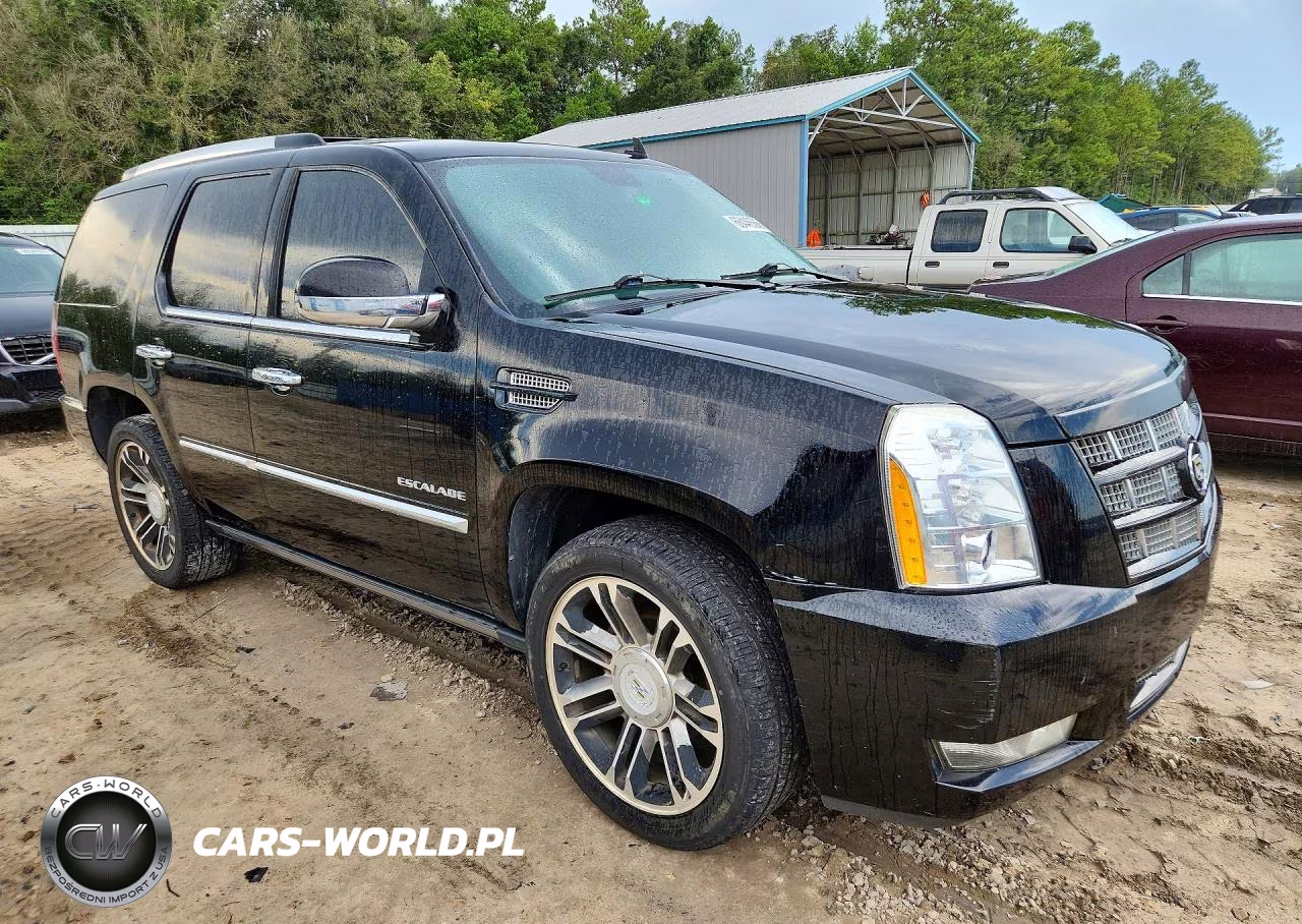2012 Cadillac Escalade Premium VIN:1GYS3CEF8CR288696 - 4