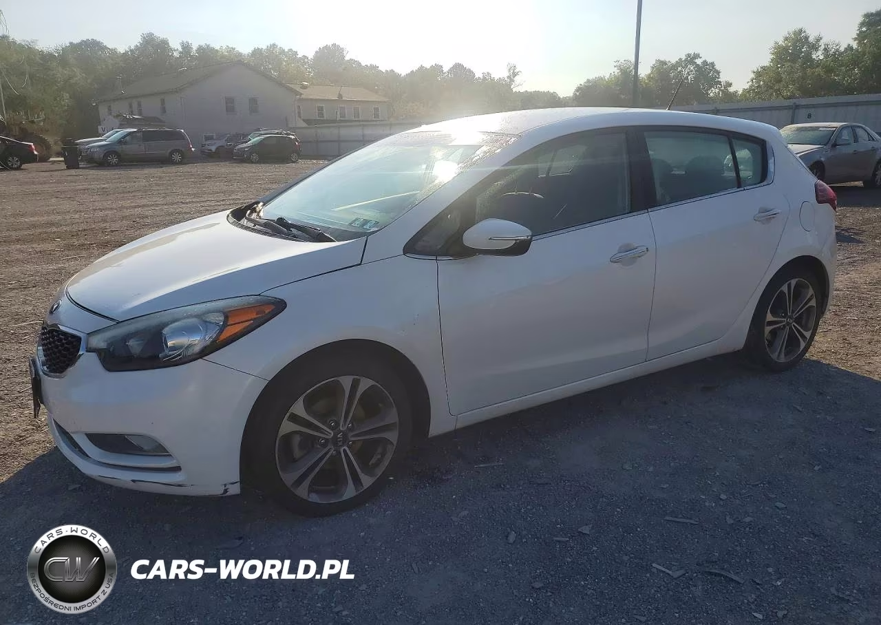 2016 Kia Forte Ex VIN:KNAFX5A89G5627300 - 1