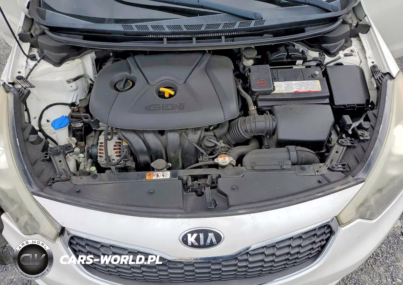 2016 Kia Forte Ex VIN:KNAFX5A89G5627300 - 11