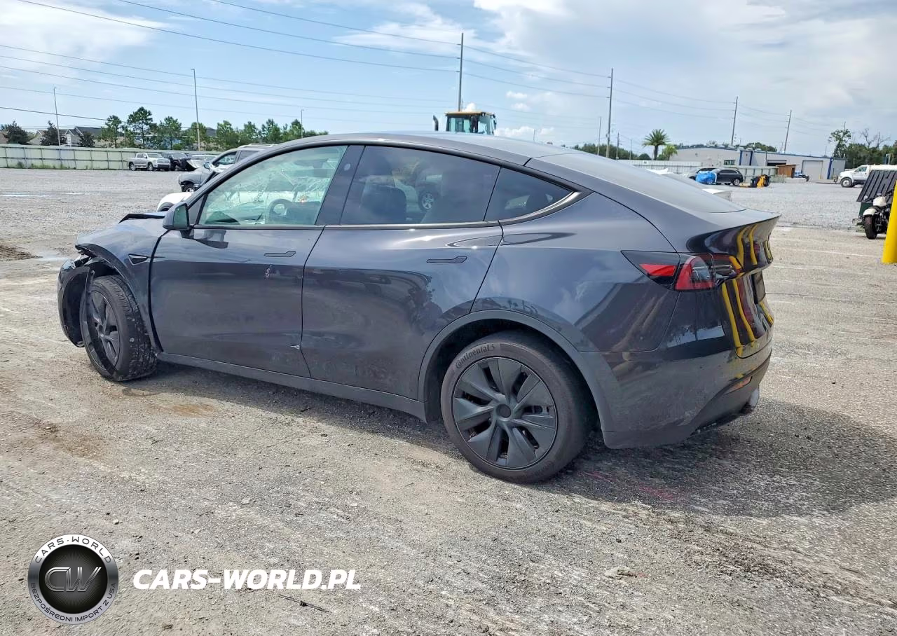 2024 Tesla Model Y VIN:7SAYGDED9RF163555 - 2