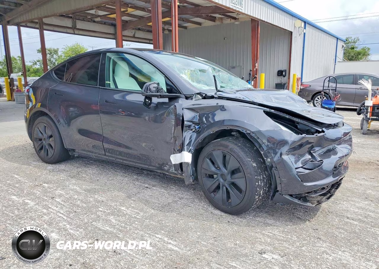 2024 Tesla Model Y VIN:7SAYGDED9RF163555 - 4