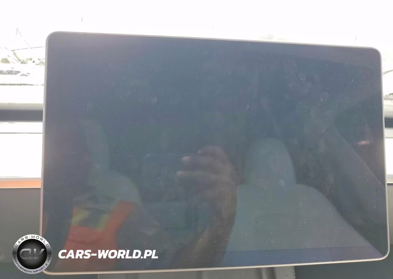 2024 Tesla Model Y VIN:7SAYGDED9RF163555 - 9