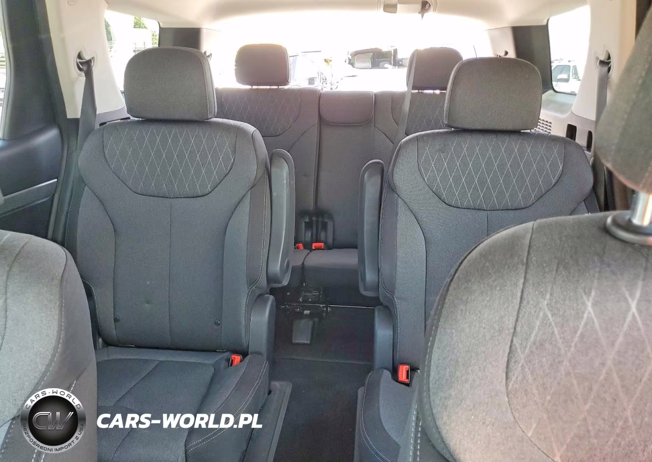2020 Hyundai Palisade Sel VIN:KM8R24HE1LU050455 - 10