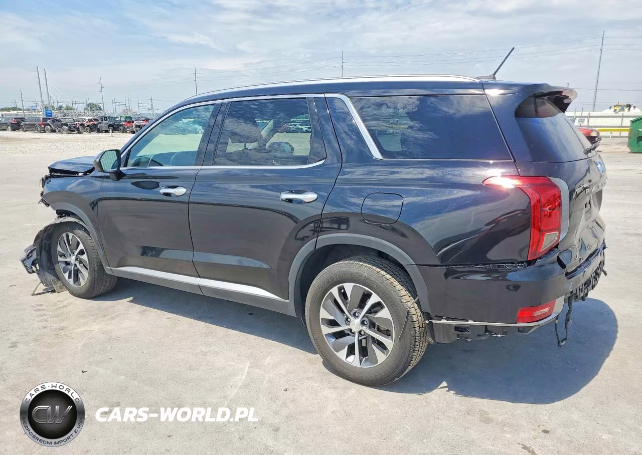 2020 Hyundai Palisade Sel VIN:KM8R24HE1LU050455 - 2