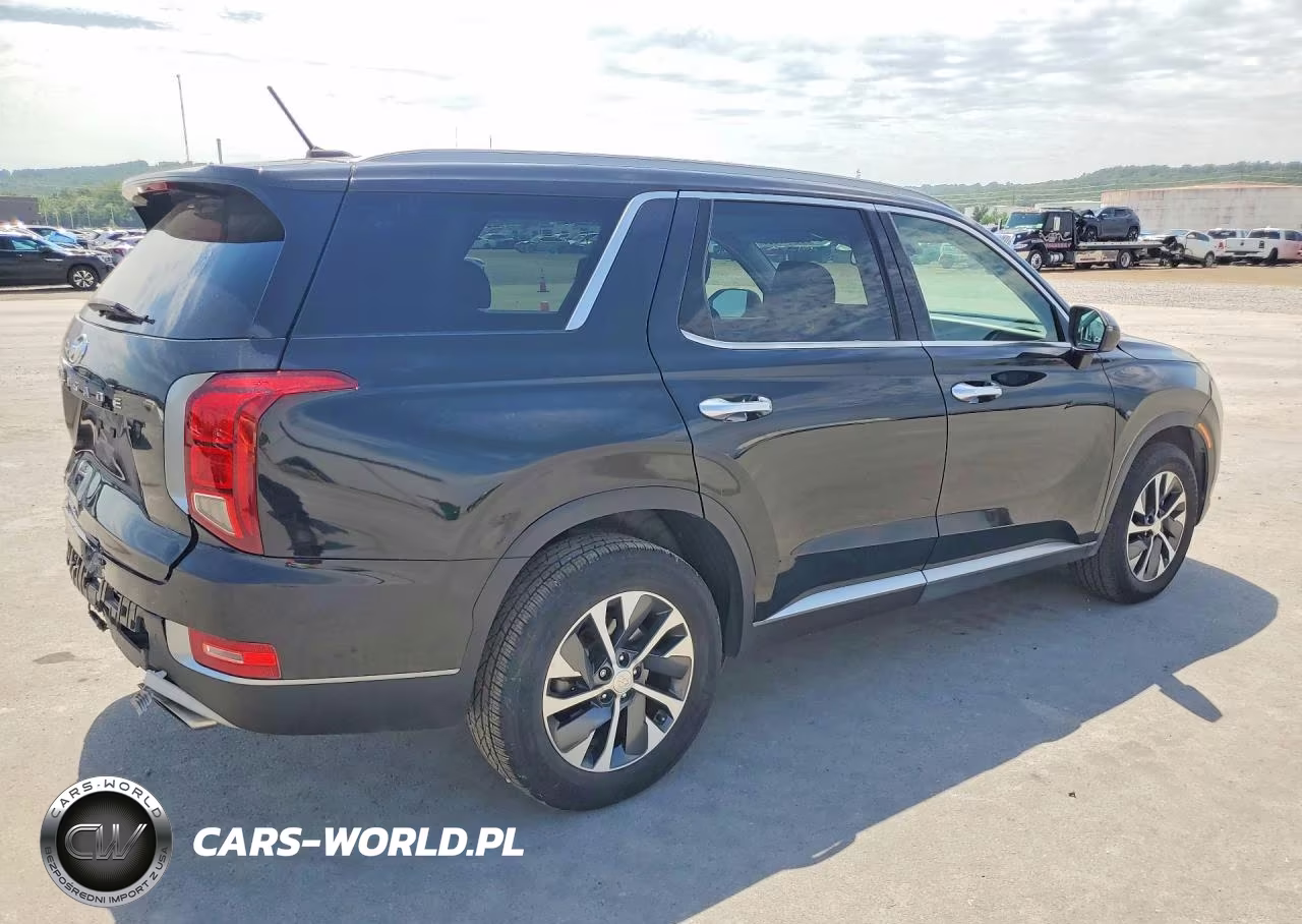 2020 Hyundai Palisade Sel VIN:KM8R24HE1LU050455 - 3