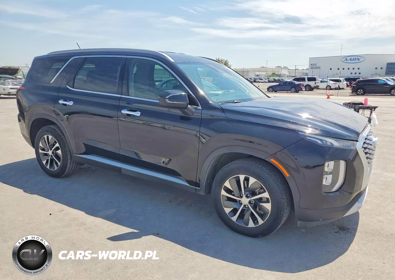2020 Hyundai Palisade Sel VIN:KM8R24HE1LU050455 - 4