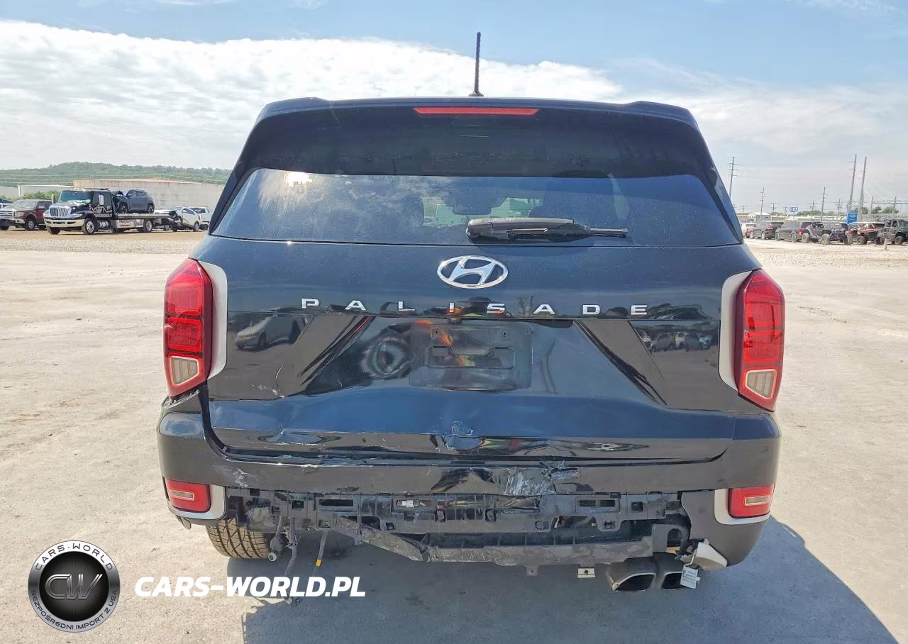 2020 Hyundai Palisade Sel VIN:KM8R24HE1LU050455 - 6