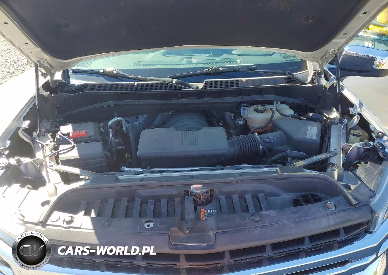 2019 Chevrolet Silverado K1500 Lt VIN:3GCUYDED9KG142584 - 11