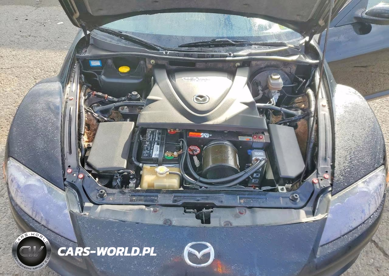 2005 MAZDA RX8 VIN:JM1FE173850141746 - 11