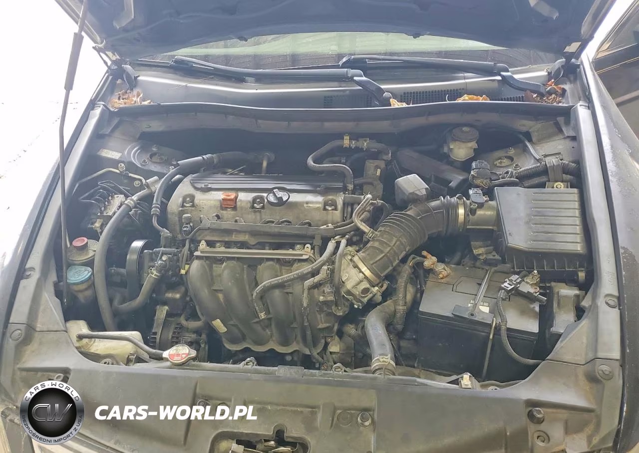 2010 Honda Accord Lxp VIN:1HGCP2F45AA006050 - 11