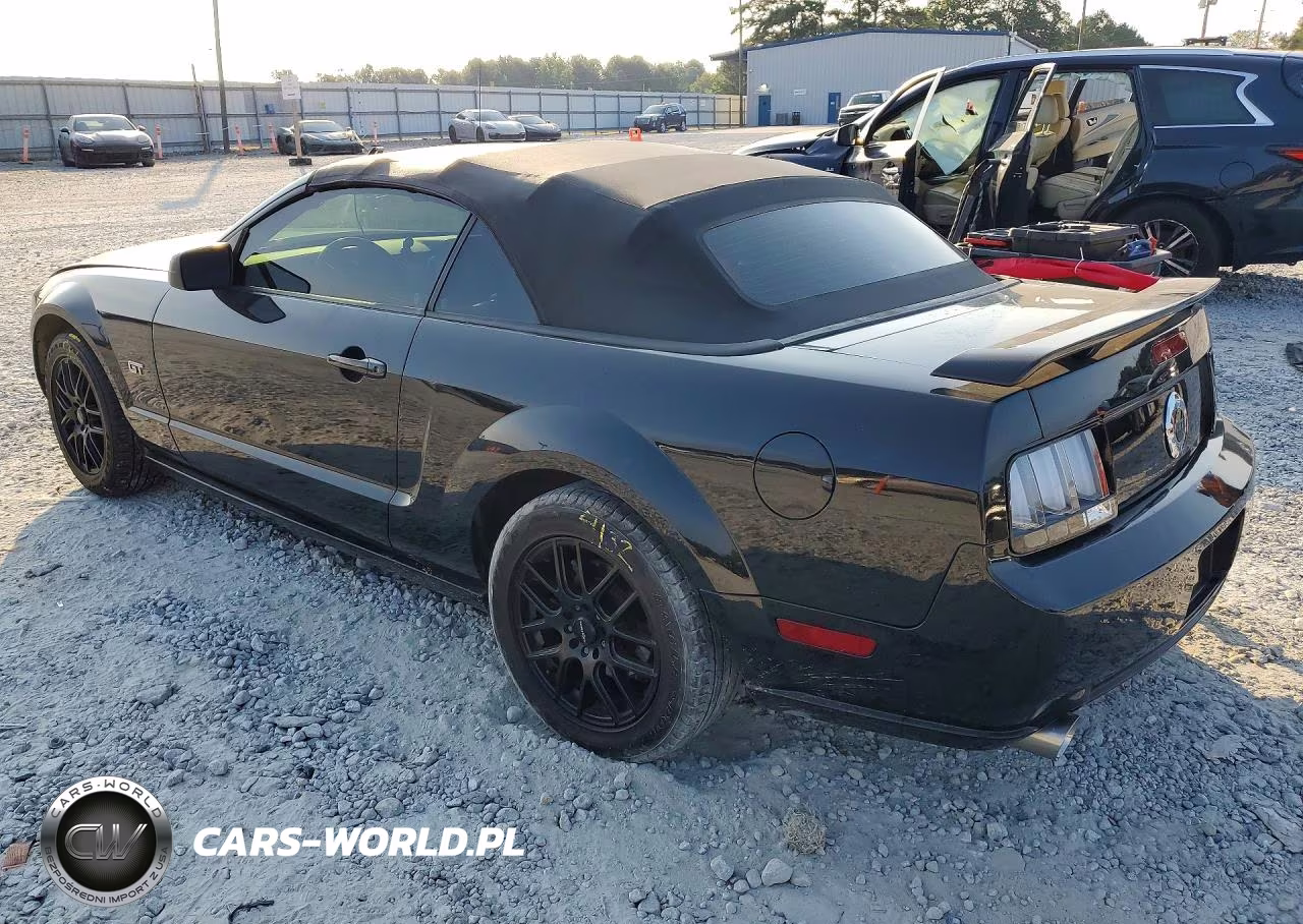 2006 Ford Mustang Gt VIN:1ZVFT85HX65120010 - 2