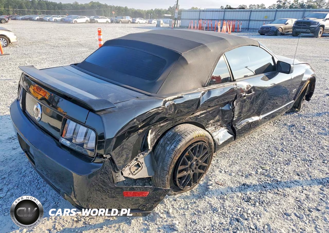 2006 Ford Mustang Gt VIN:1ZVFT85HX65120010 - 3