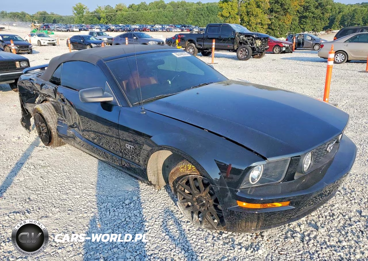 2006 Ford Mustang Gt VIN:1ZVFT85HX65120010 - 4