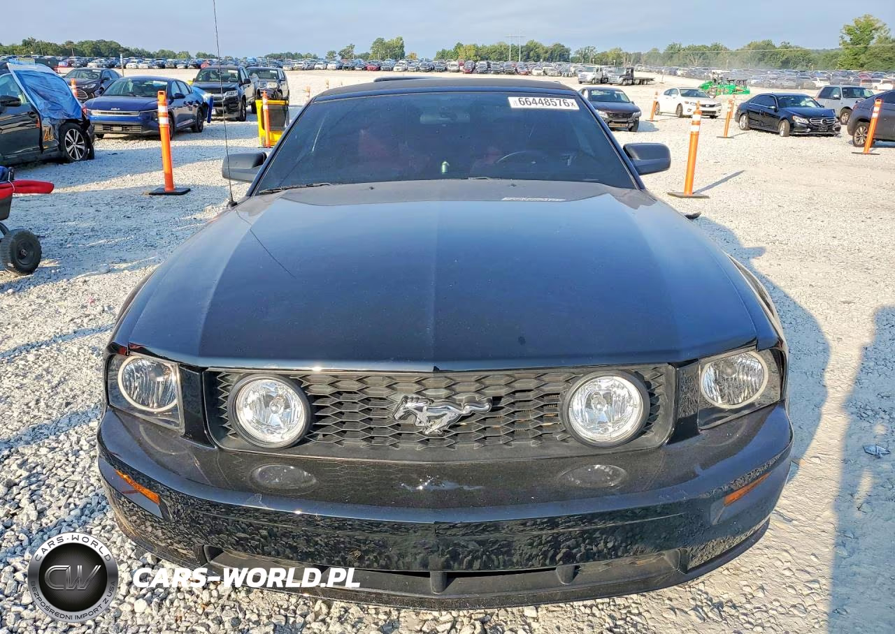 2006 Ford Mustang Gt VIN:1ZVFT85HX65120010 - 5