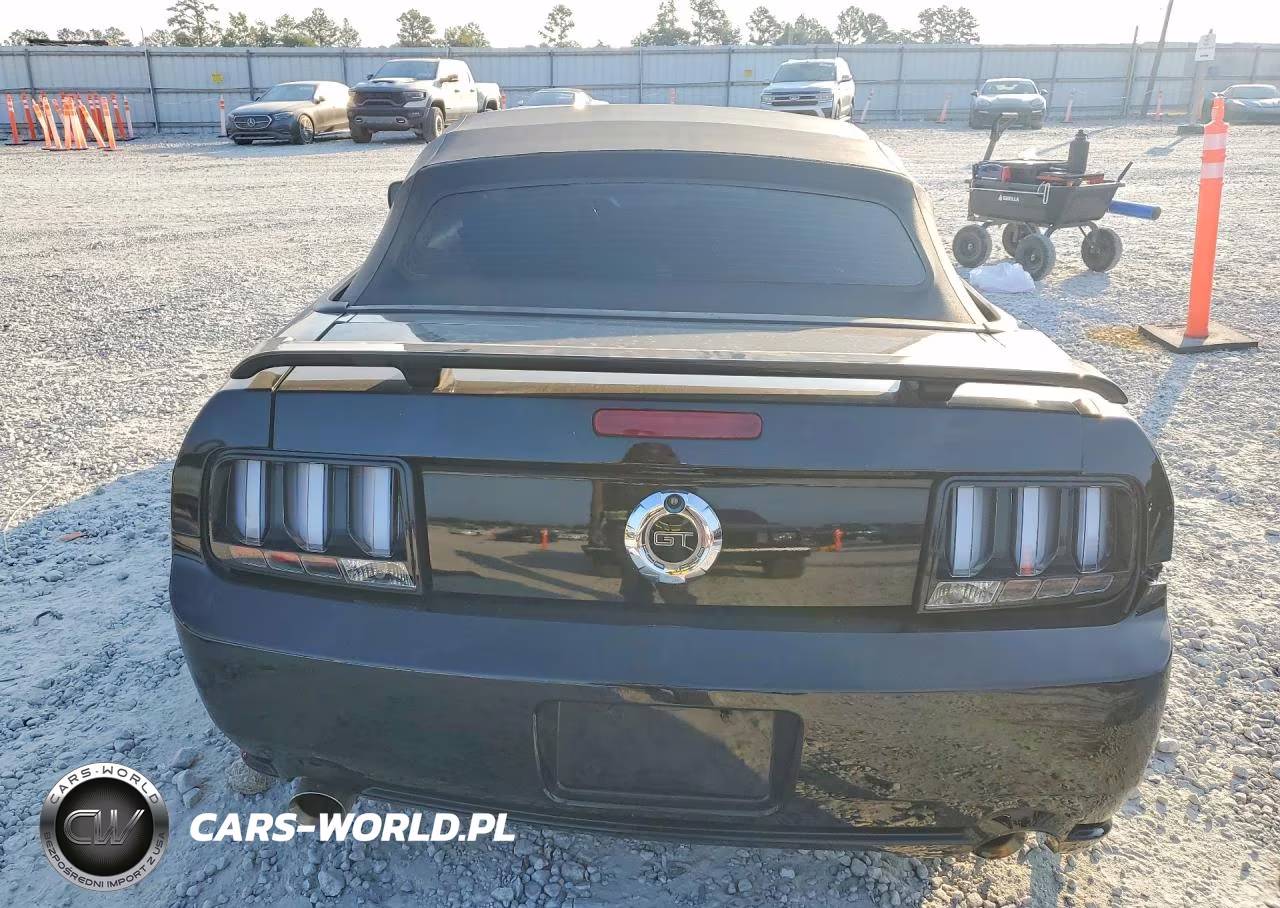 2006 Ford Mustang Gt VIN:1ZVFT85HX65120010 - 6