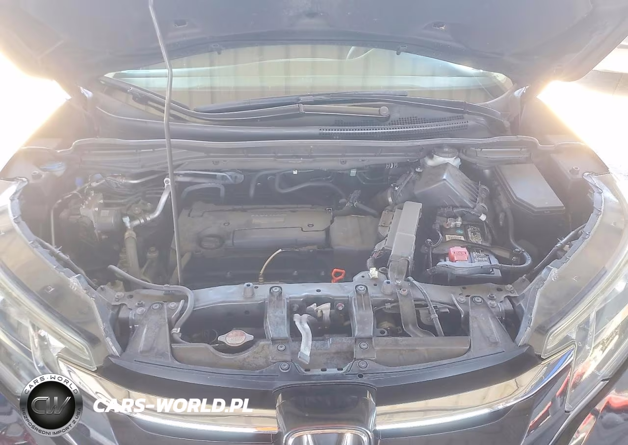 2016 Honda Cr-V Lx VIN:2HKRM3H38GH507219 - 12