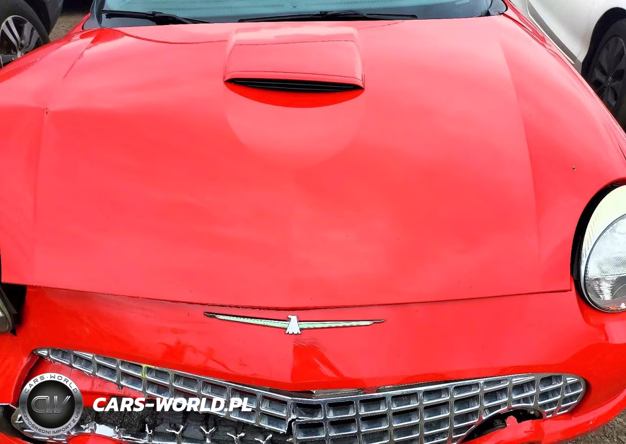 2003 Ford Thunderbird VIN:1FAHP60A73Y111151 - 11