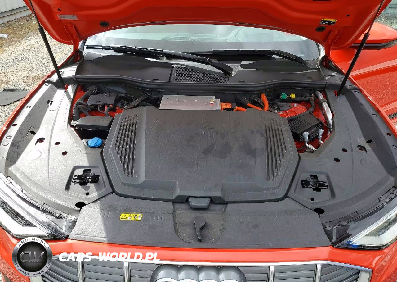 2019 Audi E-Tron Prestige VIN:WA1VABGE3KB009955 - 12