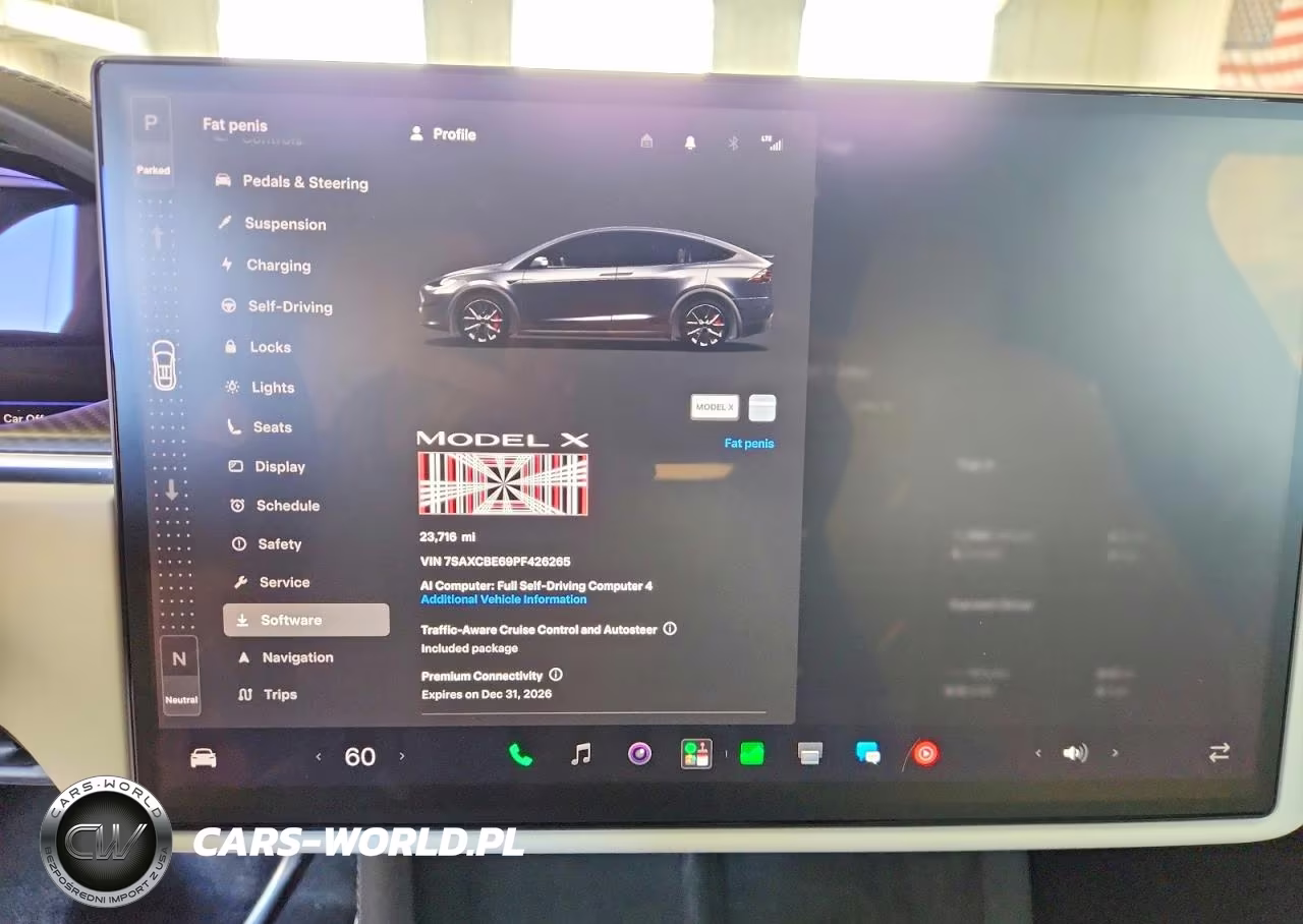 2023 Tesla Model X VIN:7SAXCBE69PF426265 - 9