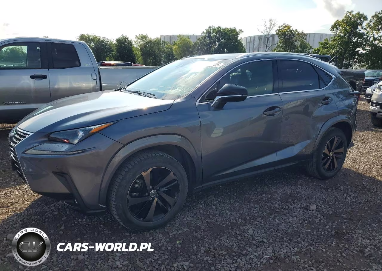 2020 Lexus Nx 300 – zdjęcie 1 z 13